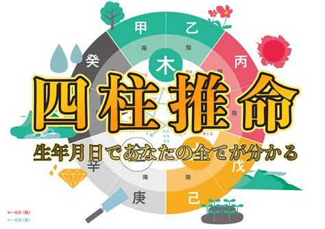 天運 年月日|【無料占い 四柱推命】鑑定書・命式の見方、解読のポイント 